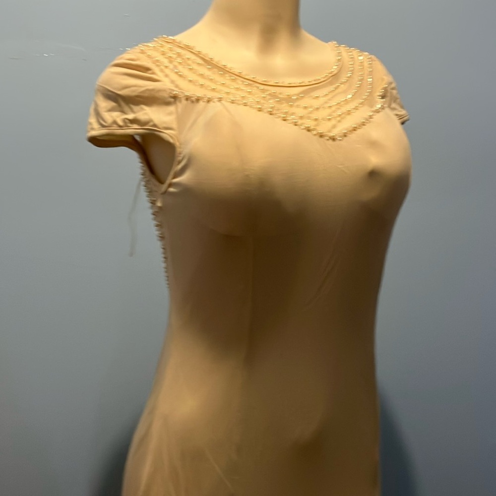 Long beautiful dress